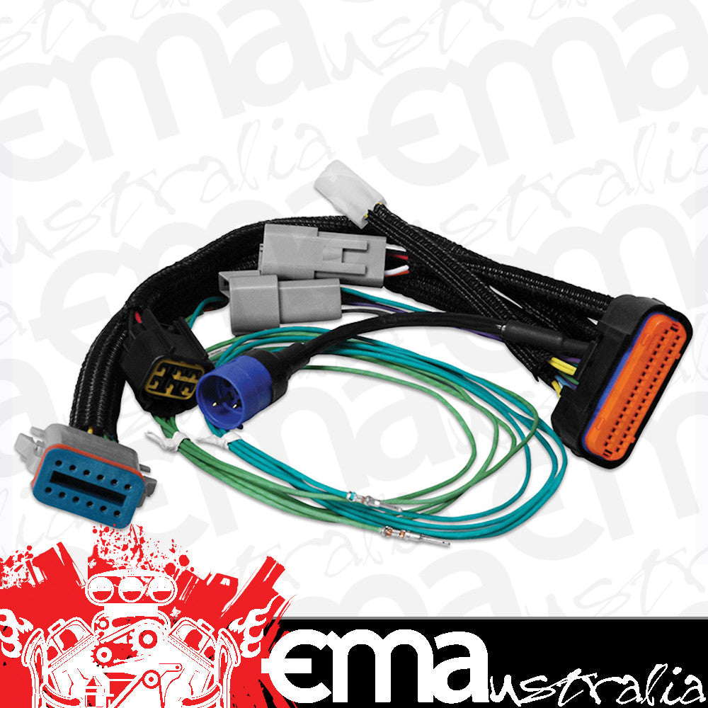 MSD Ignition MSD7789 Power Grid Harness Adapter for Power Grid #MSD7730 To Digital-7 Programmable #MSD7531