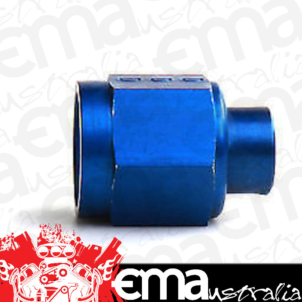 Nitrous Oxide (NOS) NOS17160 -6 AN Flare Cap Aluminium Blue Anodized 17160