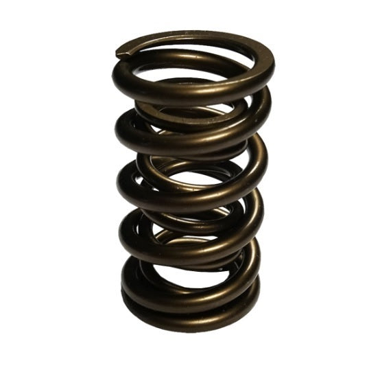 PAC Racing Springs | PAC1904-16 | -1904-16 Ls Dual Hot Rod Valve Springs Set 16