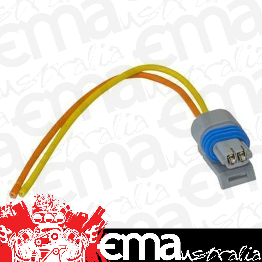 Proflow PFEFI-019 GM 2 Pin Air Temperature Plug