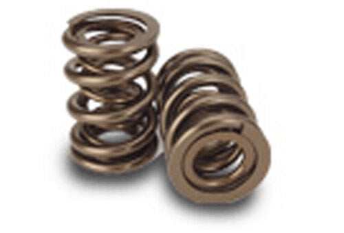 Performance Springs PSH1009D Dual Spring