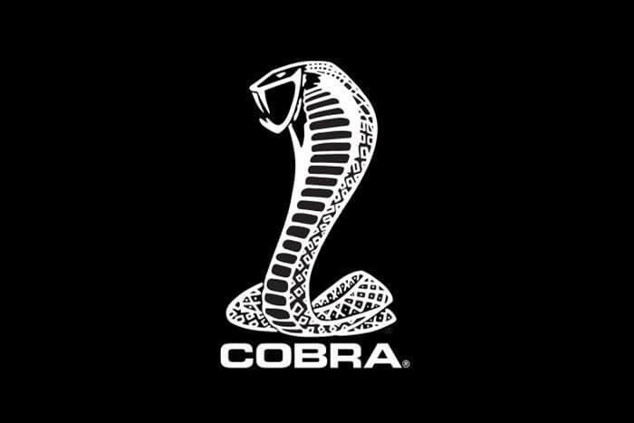 Fender Gripper | TM212205 | Ford Mustang Coupe 2005-14 Trunk Mat Cobra Snake Logo (each)