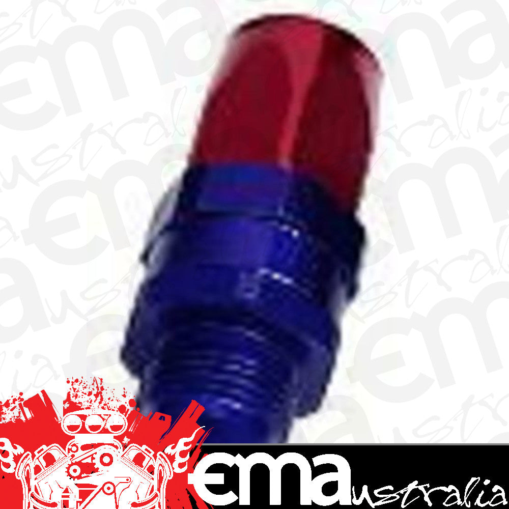 Aeroflow Performance Products AF840-12 Male -12AN to -12AN Hose End Blue Straight Male to Male