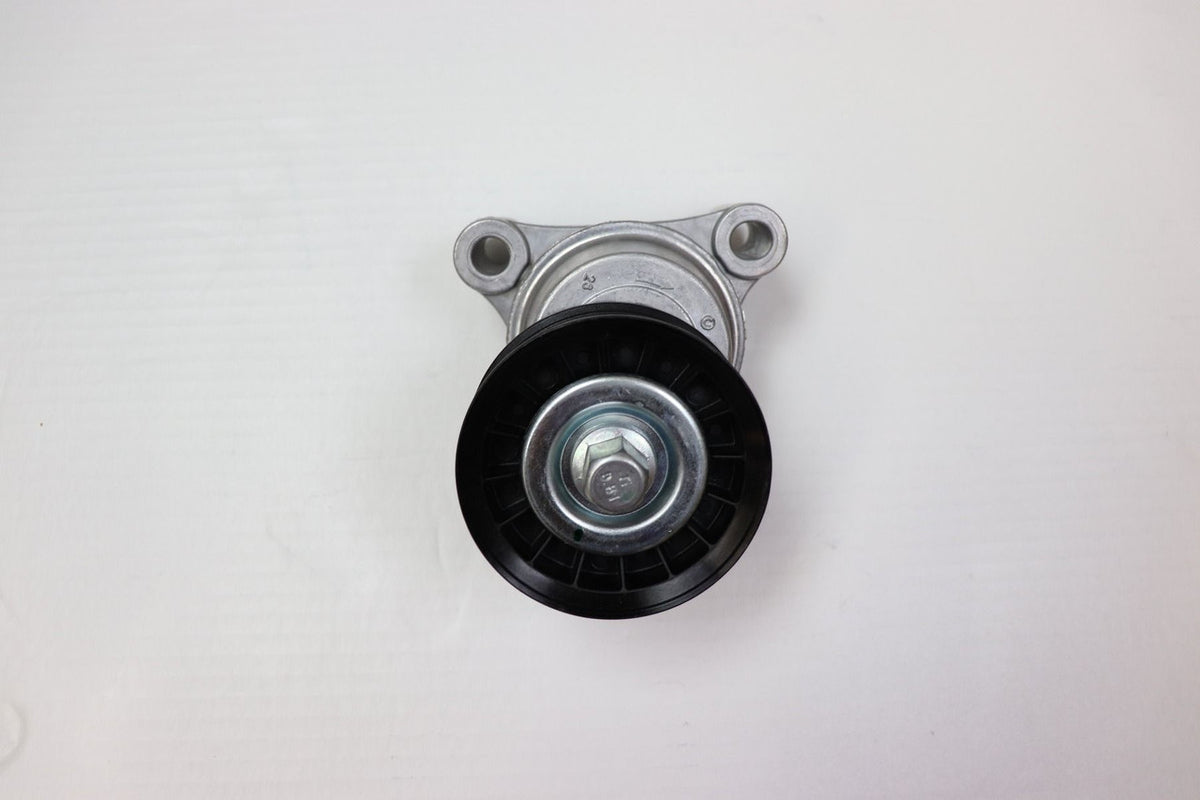 Pleasurecraft Marine PCMRA068002 PCM BELT TENSIONER ASSEMBLY, 6.0L, 2003+