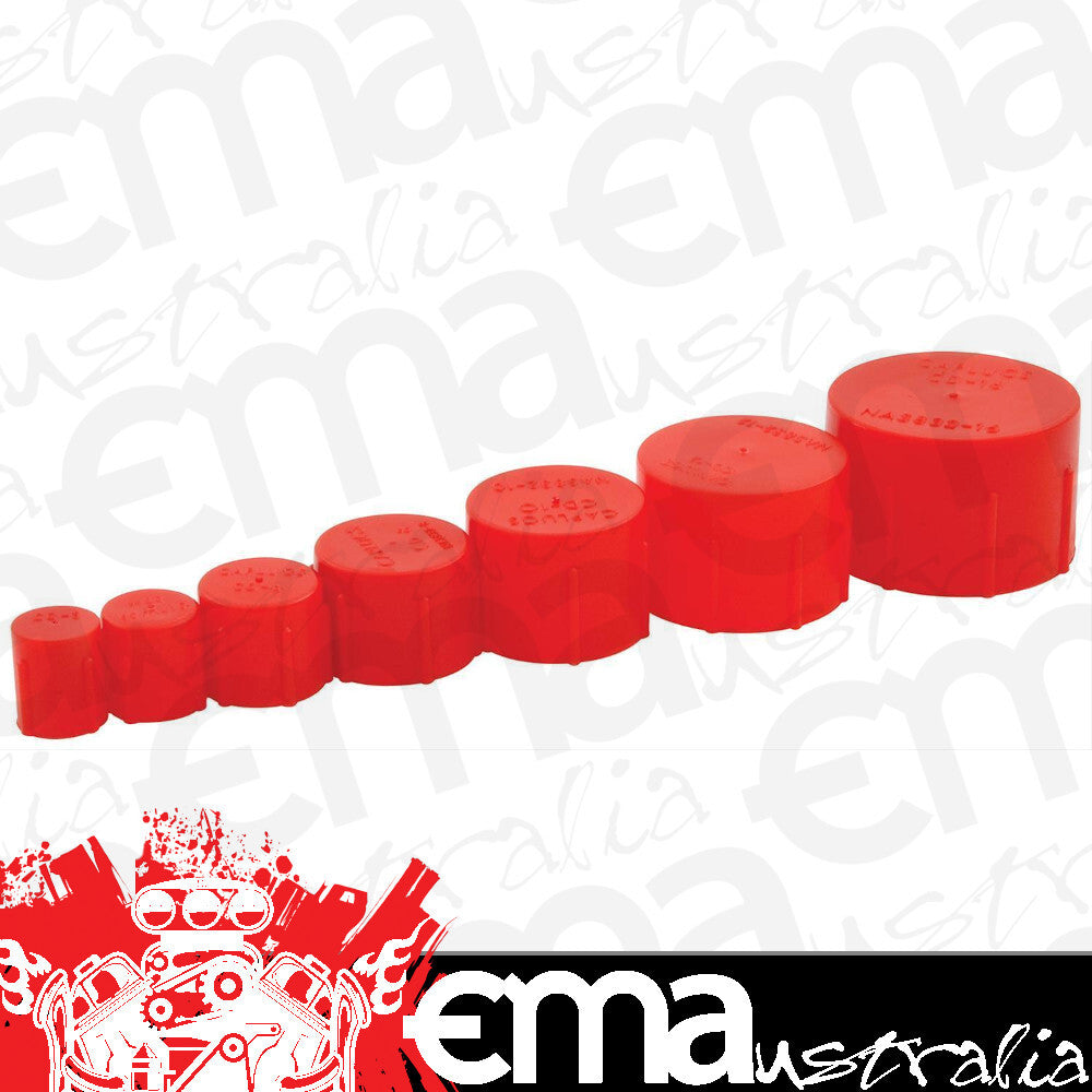 ALLSTAR PERFORMANCE ALL50800 Plastic Cap Kit