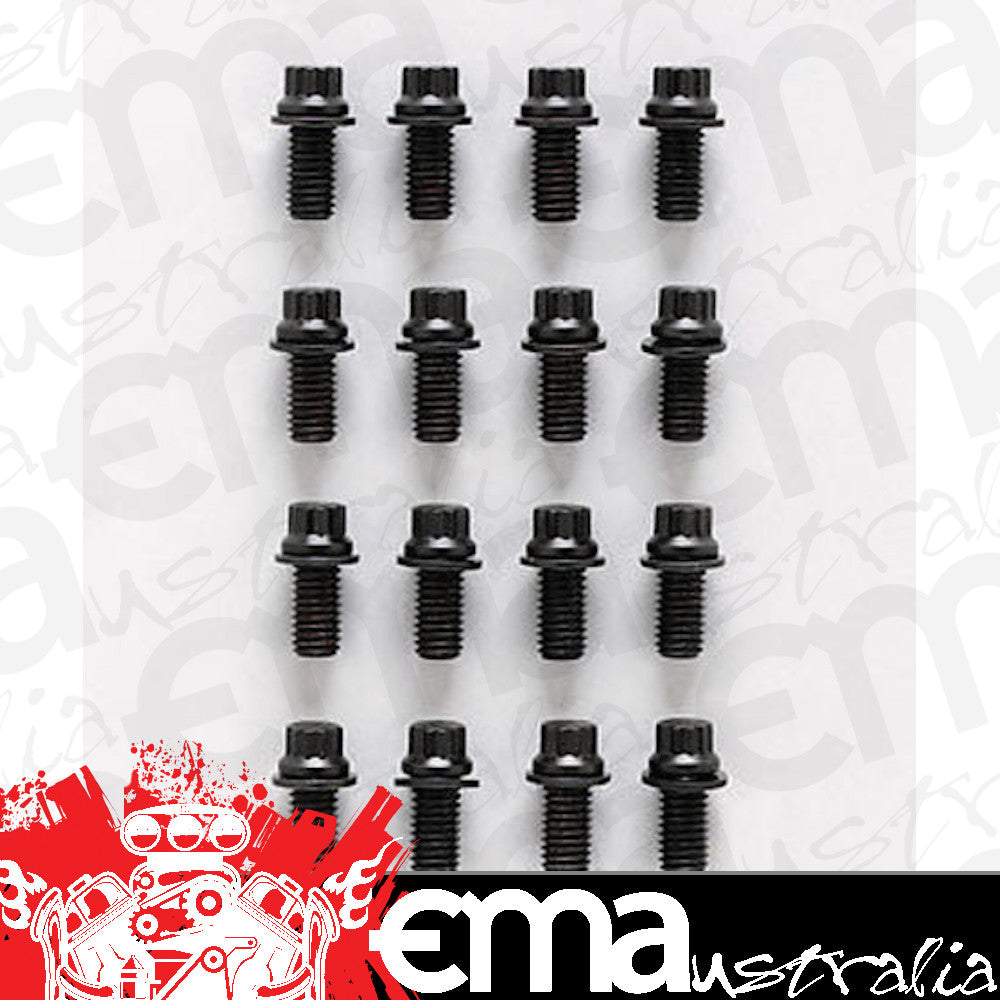 ARP Fasteners ARP100-1202 100-1202 BB Chevy & Ford 3/8" 12PT Header Bolt Kit