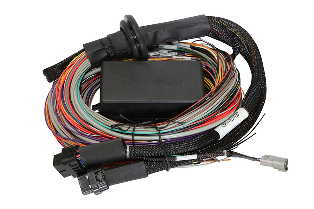Haltech HT-150904 Elite 1500 + Premium Uni Wire-in Harness Kit 2.5m (8?)