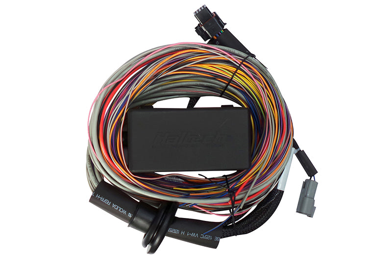 Haltech HT-140604 Elite 750 Premium Universal Wire-in Harness 2.5m (8')