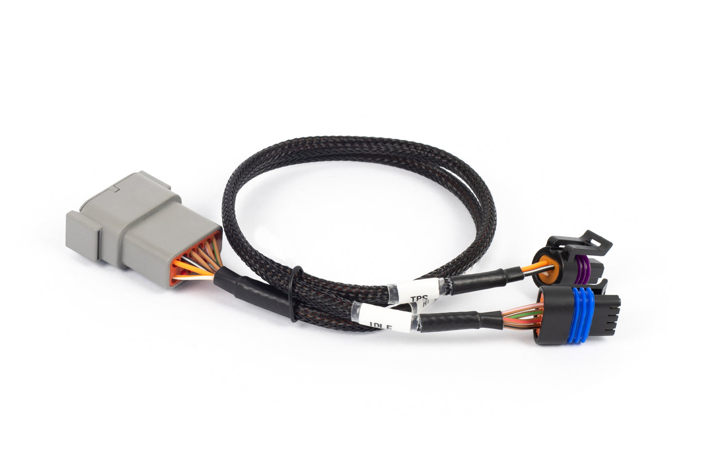 Haltech HT-186504 Nexus Rebel LS - Cable Throttle + IAC sub-harness