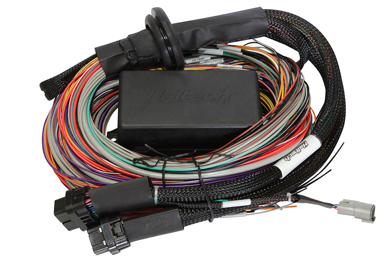 Haltech HT-140904 Elite 1500 - 2.5m (8 ft) Premium Uni Wire-in Harness Only