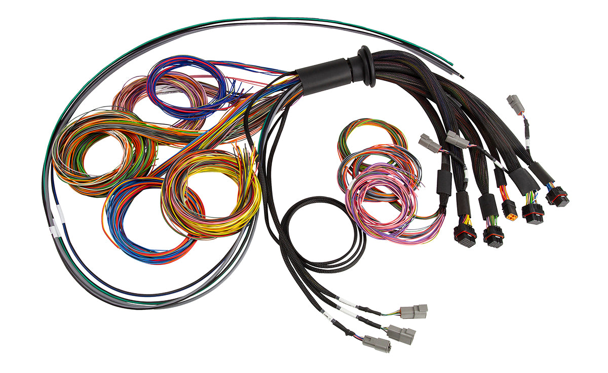 Haltech HT-185200 Nexus R5 Universal Wire-In harness - 2.5M (8')