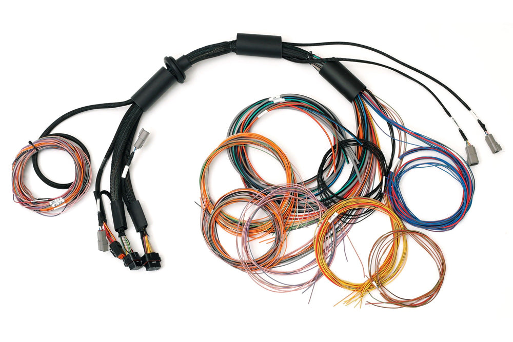 Haltech HT-183200 Nexus R3 Universal Wire-in Harness - 2.5m (8')