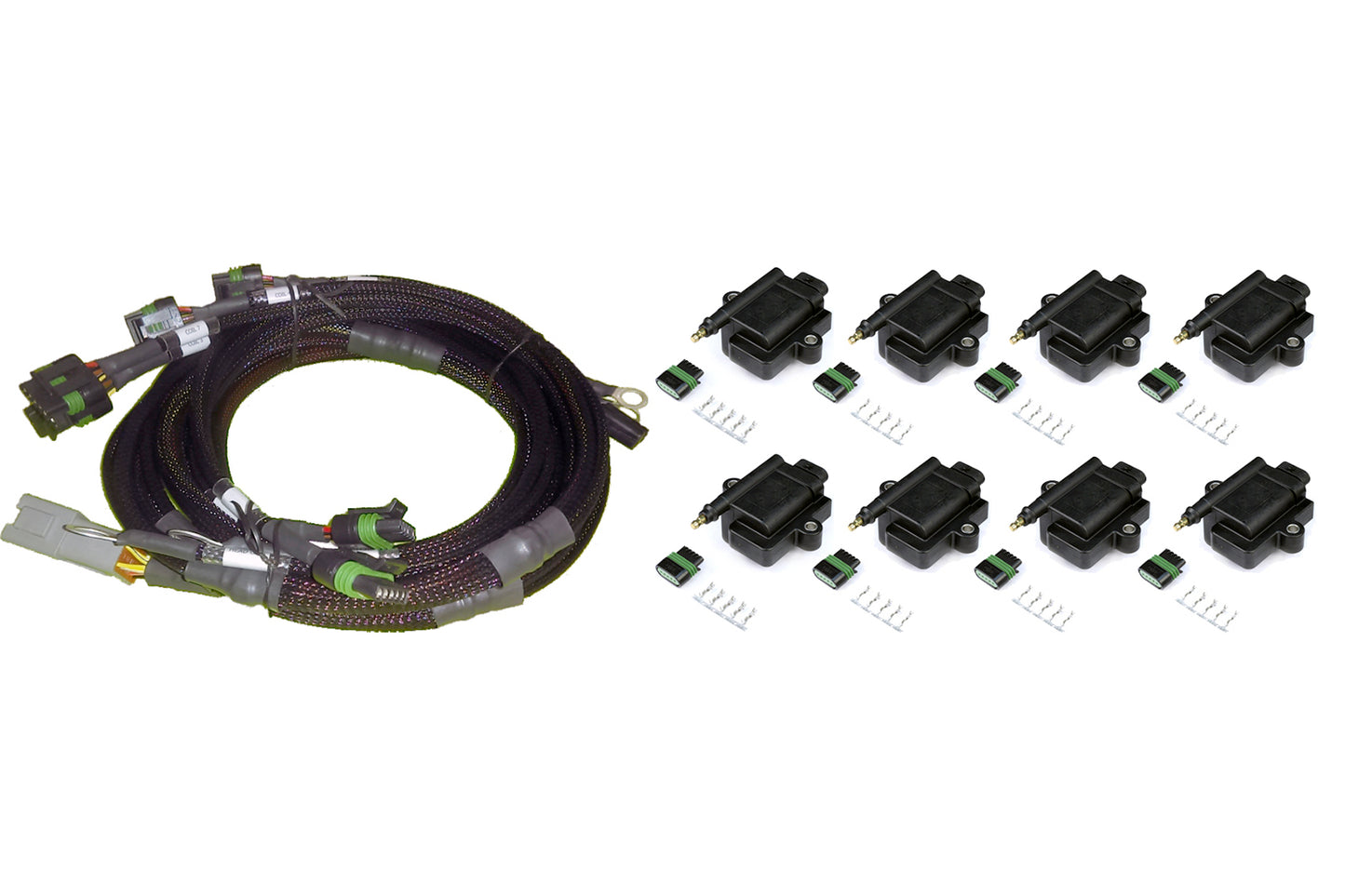 Haltech HT-130312 8 channel Hi Output Ignition Coil & Harness Kit GM/Chrysler