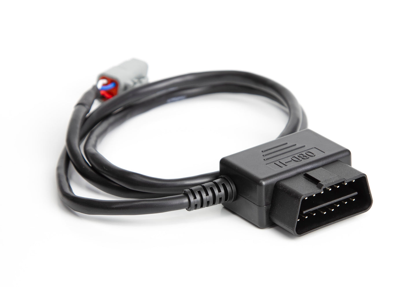 Haltech HT-135001 Ford MK1 Radio DTM4 CAN to OBDII CAN Cable 0.8 / 2.6Ft -