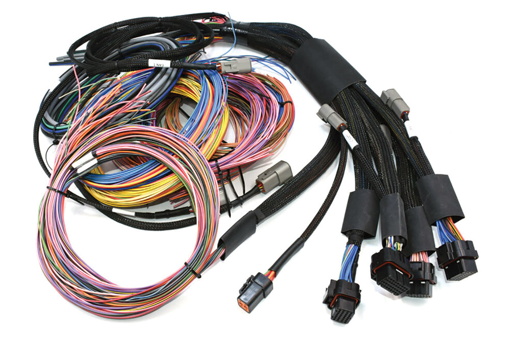 Haltech HT-195201 Nexus R5 + Universal Wire-in Harness Kit - 5M (16')