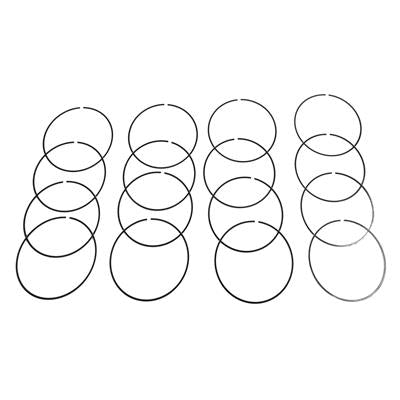 Hastings HSN-2M4599 Ford 5.0 Coyote Moly Rings M-92.20-0.00-1.2-1.2-2.5 (RS3585000ML8H)