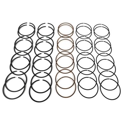 Hastings HSN-660030 283-307 Chev Cast Rings I-3.875-0.030-5/64-5/64-3/16 (RS2221030CA8H)