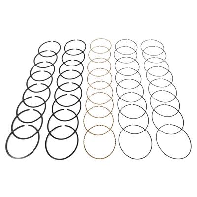 Hastings HSN-2M4727 502 Chev Moly Rings I-4.468-0.000-2-1.5-4 (RS6961000ML8H)