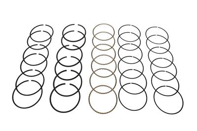 Hastings HSN-2M5462 2F Landcruiser Moly Rings M-94.00-0.00-2-2.5-4 (RS1413000ML6H)