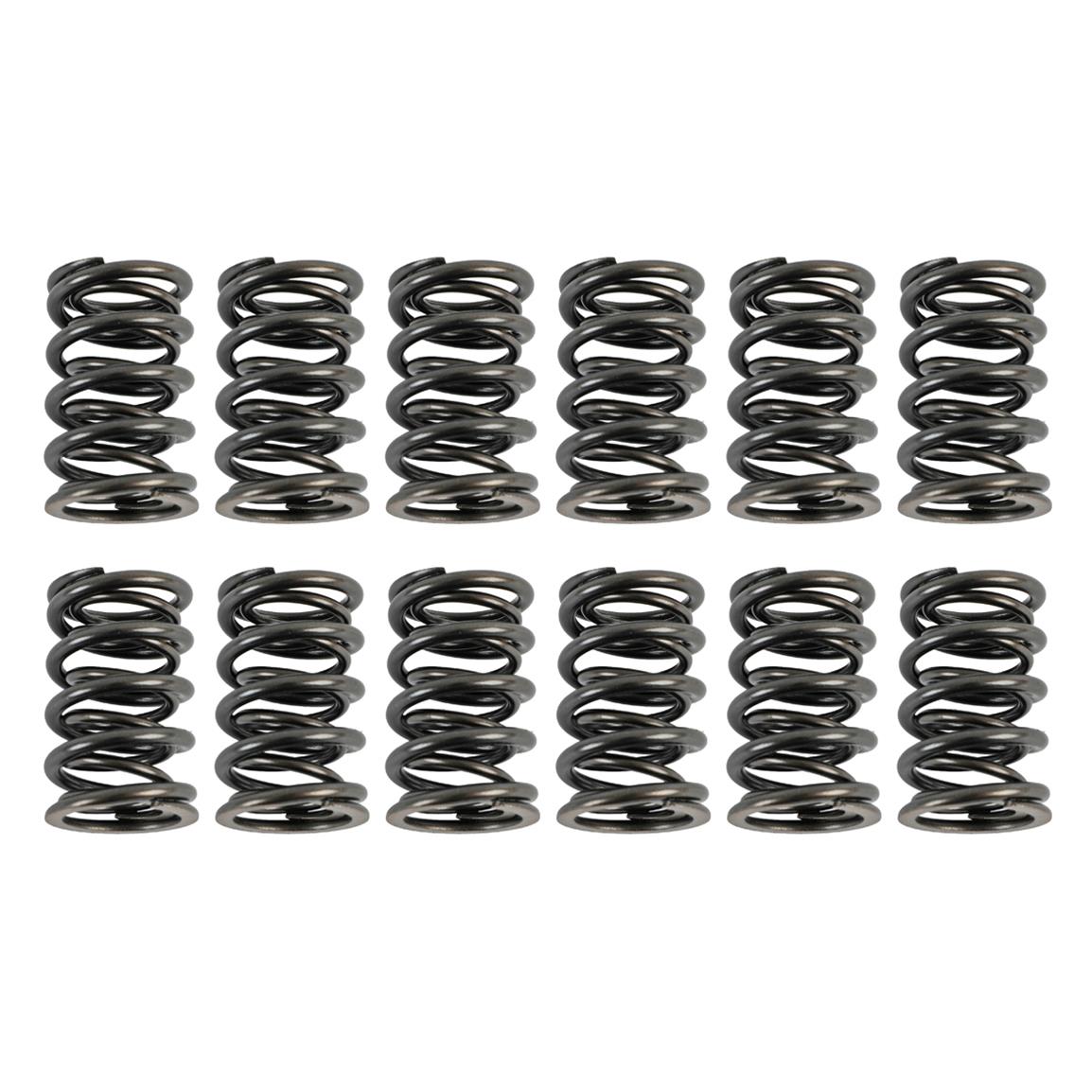 COMP Cams 988-12 VALVE SPRINGS, 1.384" 2 SPRING