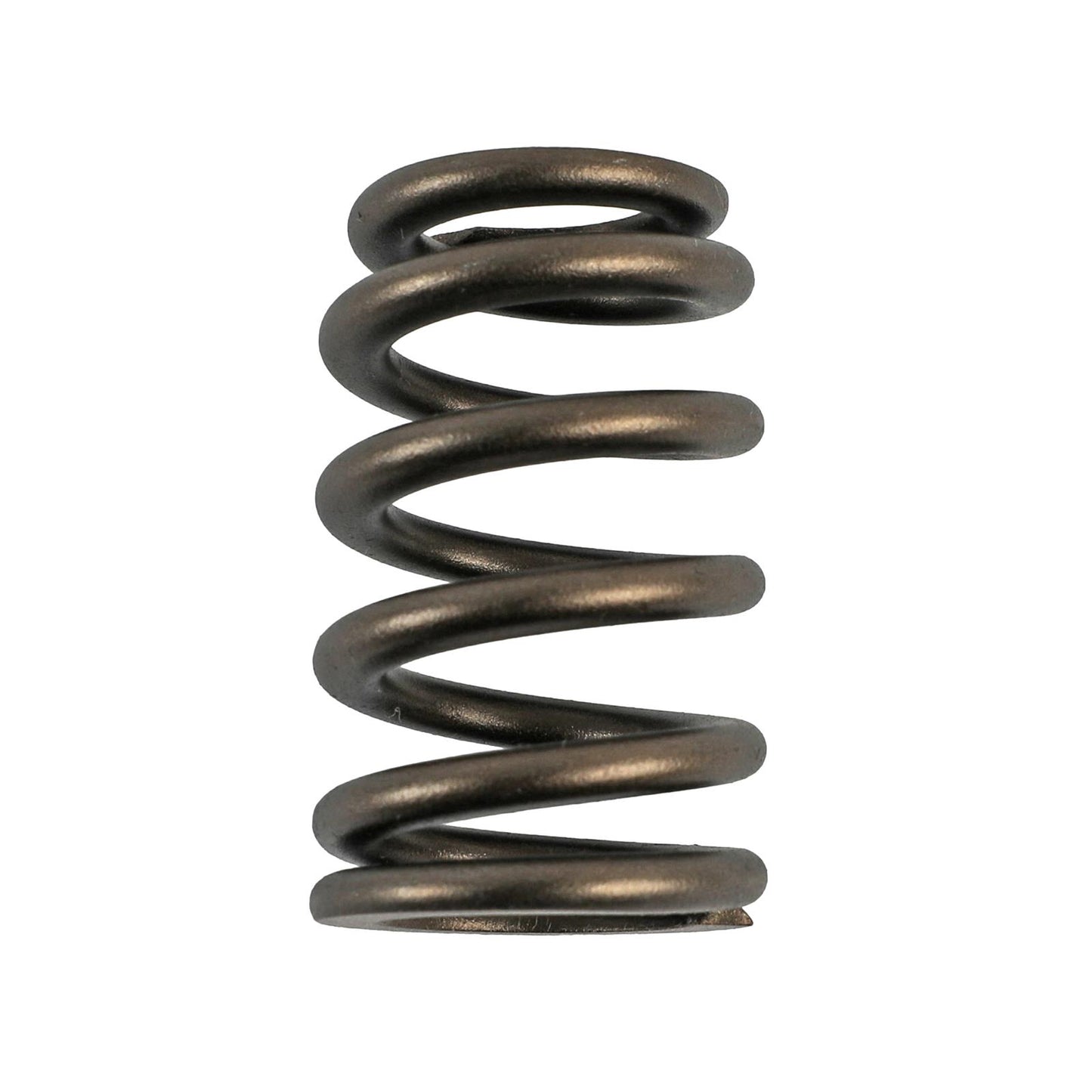 Comp Cams CC26123-16 Comp Valve Springs Ford 46L 4