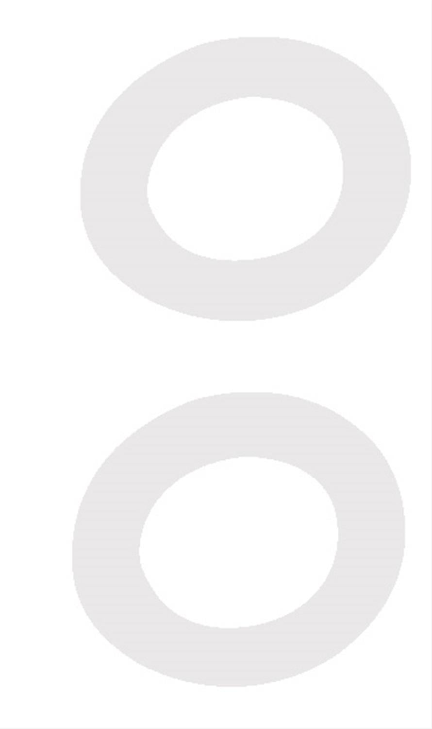 Quick Fuel QFT8-17QFT Nylon Adj Nut Gasket Lg - 2 Pk