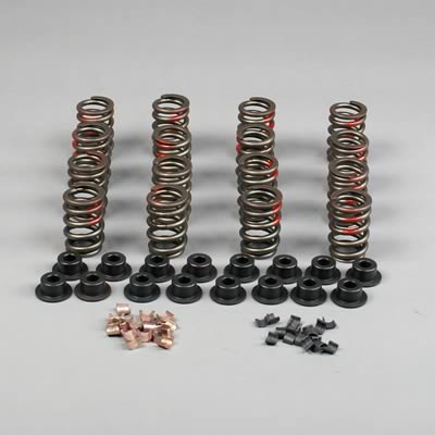Lunati LT66000LUN Valve Train Kit 302W Lifters V/Springs Rtners Loks