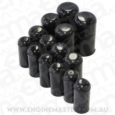 Aeroflow Performance Products AF9290-016-01 Metric Vacuum Blank Off Plug Kit (16 piece) Black Finish
