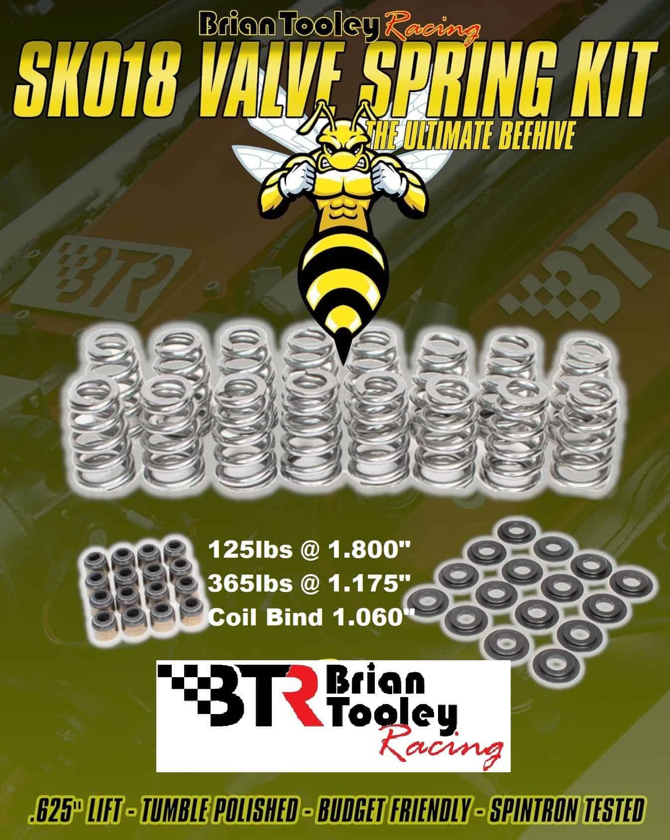 Brian Tooley Racing BTR-SK018 .625? Lift Beehive Spring Kit