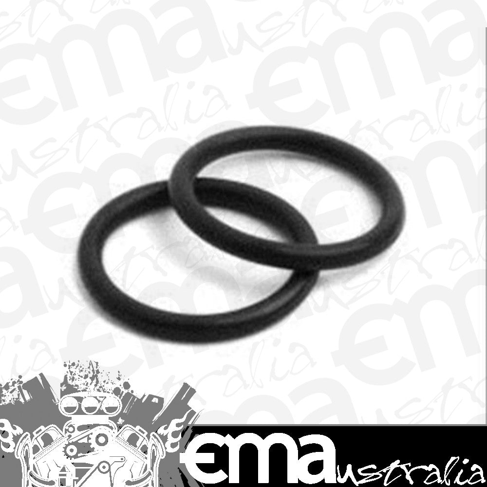 Fuel Fitting Gasket