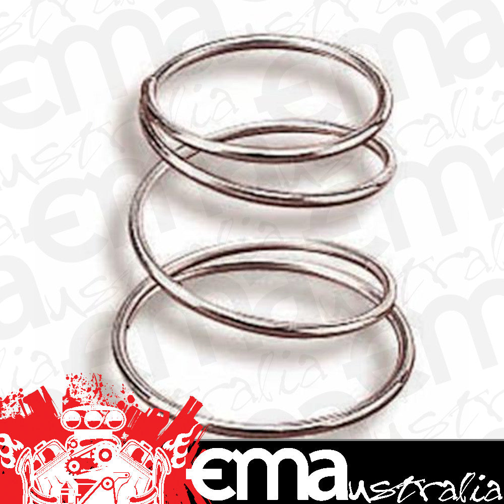Accelerator Pump Springs Fit Holley 50cc Set of 10