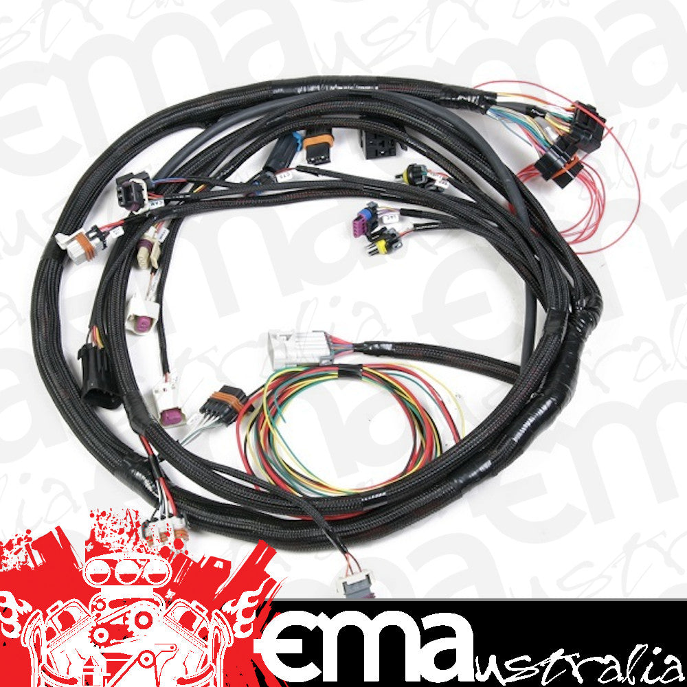 Universal MPFI Main Harness (Suit HP & Dominator EFI) (HO558-104)