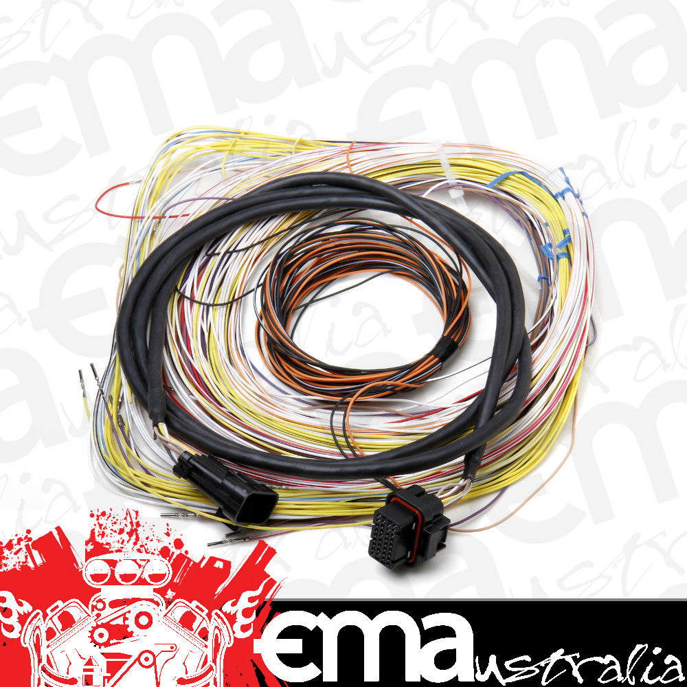 Holley | HO558-401 | AUXILIARY HARNESS J2A CONNECTOR SUIT DOMINATOR EFI