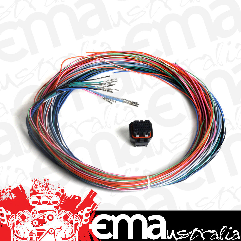 Holley Dominator EFI system AUXILIARY HARNESS J2B CONNECTOR SUIT Holley HO558-402