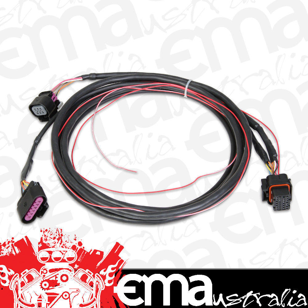 Holley HO558-406 EFI GM DRIVE BY WIRE HARNESS SUIT DOMINATOR EFI