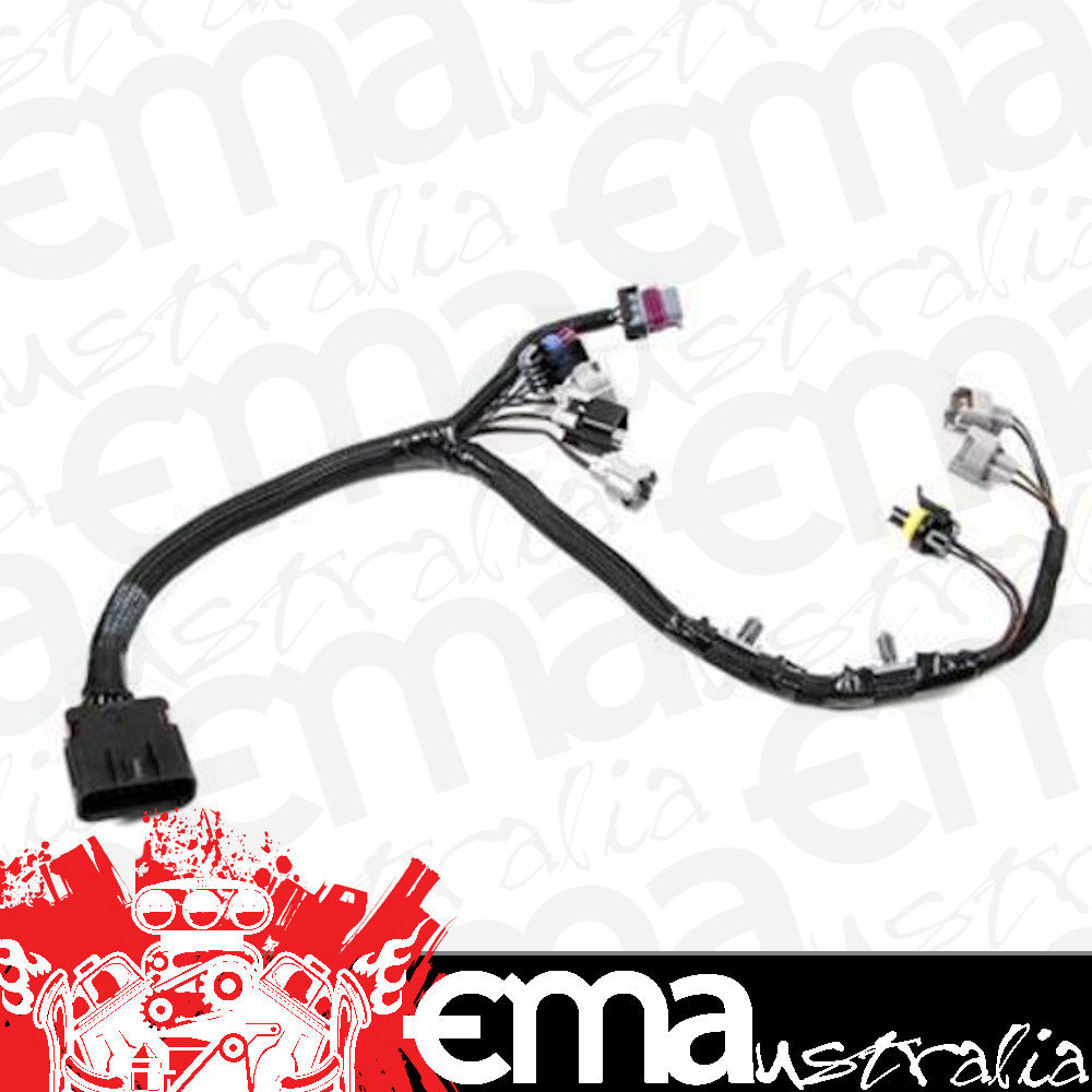TERMINATOR 205 LB/HR INJECTOR HARNESS