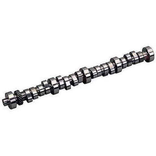 LUNATI HYDRAULIC ROLLERCAM Ford 302351 WINDSOR LT61010 Engine Master