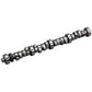 LUNATI HYDRAULIC ROLLERCAM Ford 302-351 WINDSOR LT61010
