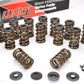 LUNATI VALve SPRING KIT 333LBS/IN 1.110 BIND HT RETAINERS & LOCKS INC 73100K1LUN