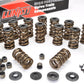 Lunati Voodoo LT73815K3 Single Valve Spring & Retainer Kit 1.5"O.D. 342 lbs/in