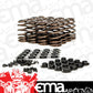 LUNATI BEEHIve VALve SPRING KIT 313LBS/IN LT74818K1 RETAINERS & LOCKS INC.