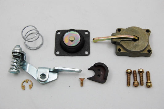 AED AED5565 50Cc Accelerator Pump Kit Holley 2110 4150 4160 Carburetors