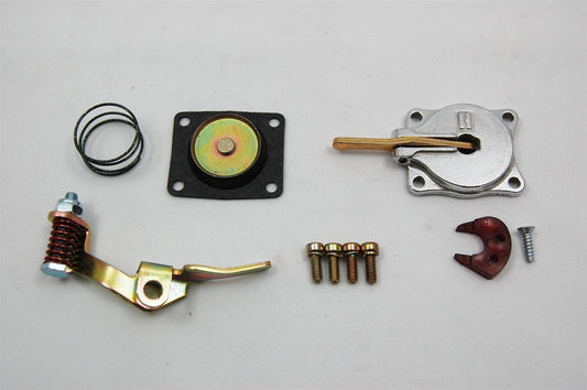 AED AED5570 30Cc Accelerator Pump Kit Holley 2300 4150 4160 Carburetors