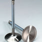 Ford Cleveland 302-351 C.I.D 11/32" Stainless Exhaust Valves Clevo 1.710" Milodon MIL45675-8