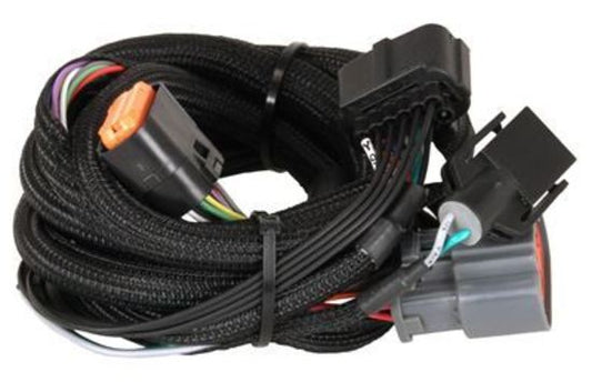 MSD Ignition MSD2774 Ford 4R100 1998-up Harness