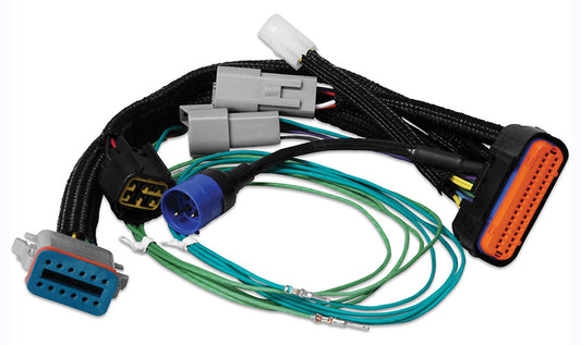 MSD Ignition MSD7789 Power Grid Harness Adapter for Power Grid #MSD7730 To Digital-7 Programmable #MSD7531