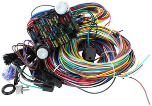 Aeroflow AF49-1502 21 Circuit Universalersal Wiring Harness 21 Fuse 12V