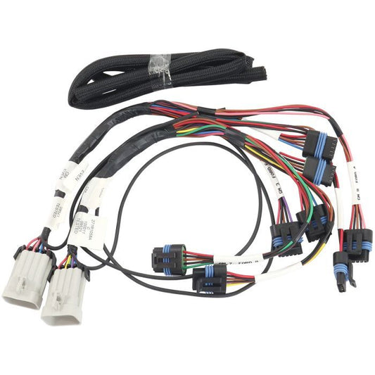 Aeroflow AF49-1532 GM LS Smart Coil Harness Suit Aeroflow Smart Coil (IGN-1A), Sold as a Pair, Will also suit Ford Coyote