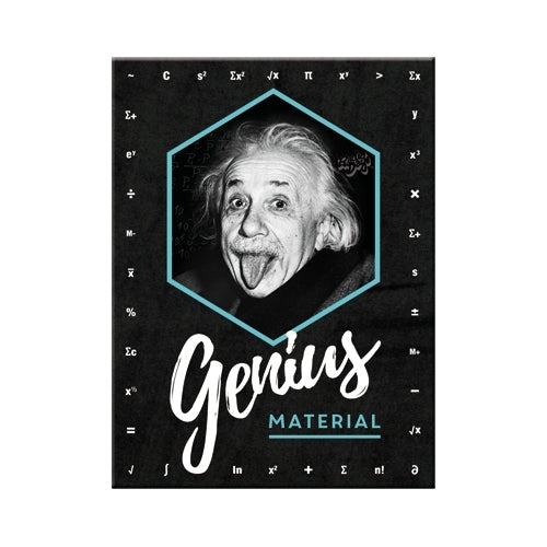 Nostalgic-Art 5114395 Magnet Einstein Genius