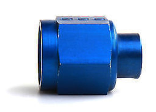 Nitrous Oxide (NOS) NOS17160 -6 AN Flare Cap Aluminium Blue Anodized 17160